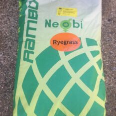 İtalyan Süt Otu Ryegrass Yem Bitkisi Satışlarımız Başladı.